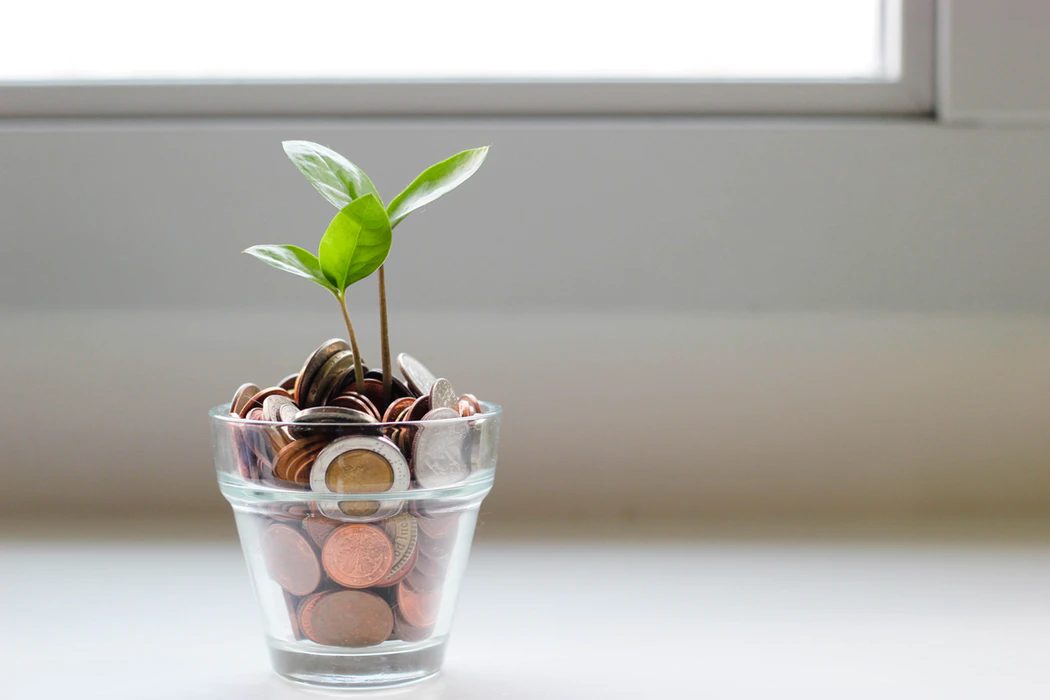 Coins and a growing plant