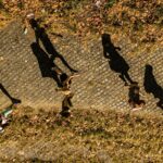 Students walking on a campus