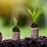 Plants growing out of coins