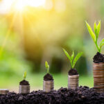 Plants growing out of coins