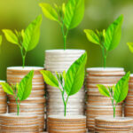 small seedlings growing out of stacks of coins