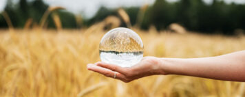 Female hand holding a clear crystal ball